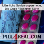 Männliche Seidenraupenmotte, Die Orale Flüssigkeit Nährt 35
